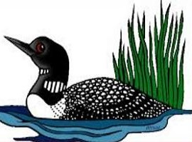 Free Common Loon Clipart