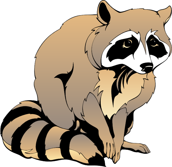 Raccoon Clip Art Pictures - Free Clipart Images
