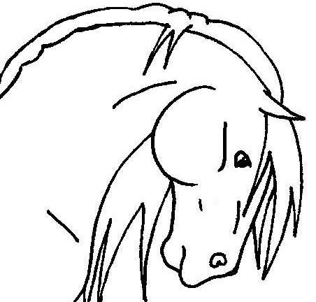 Horse head lineart 2