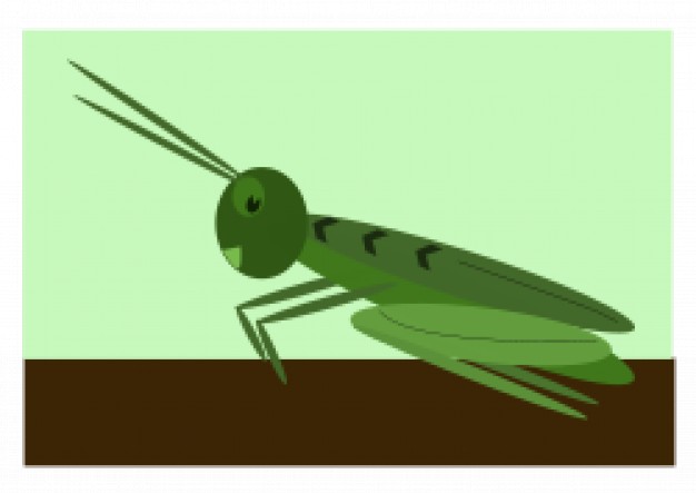 Grasshopper Cartoon Vectors, Photos and PSD files | Free Download