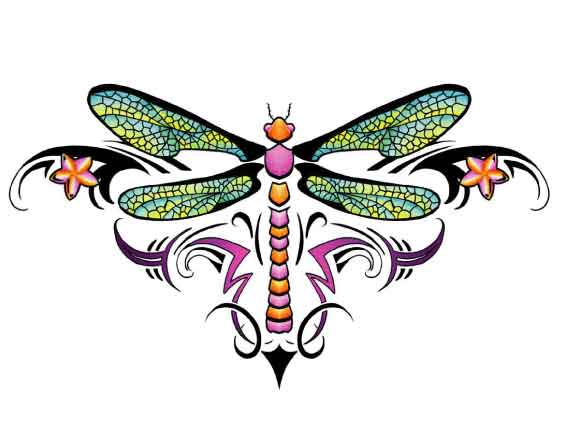 Whimsical Dragonfly Drawings Dragonfly Tattoos