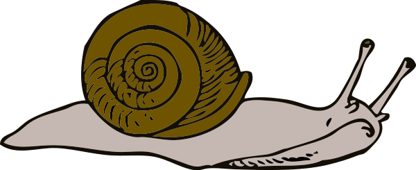 Clip Art Snail