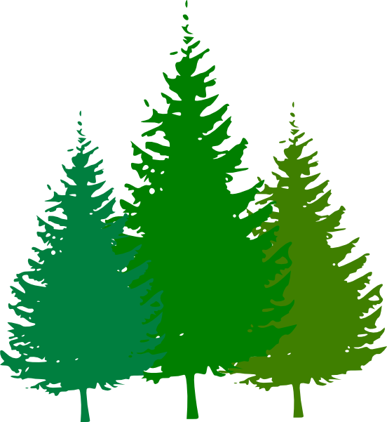 Forest tree clipart png