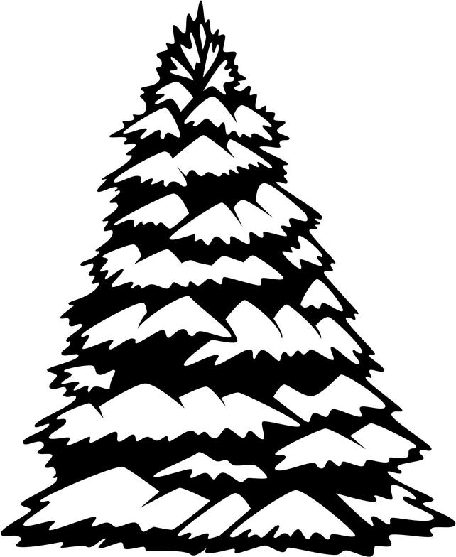 Spruce Drawing | Free Download Clip Art | Free Clip Art | on ...