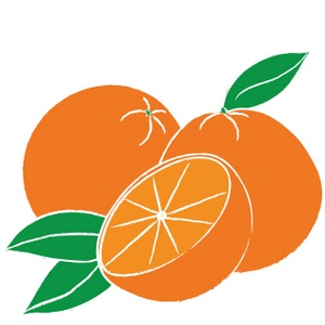 Oranges Clipart Image - Oranges