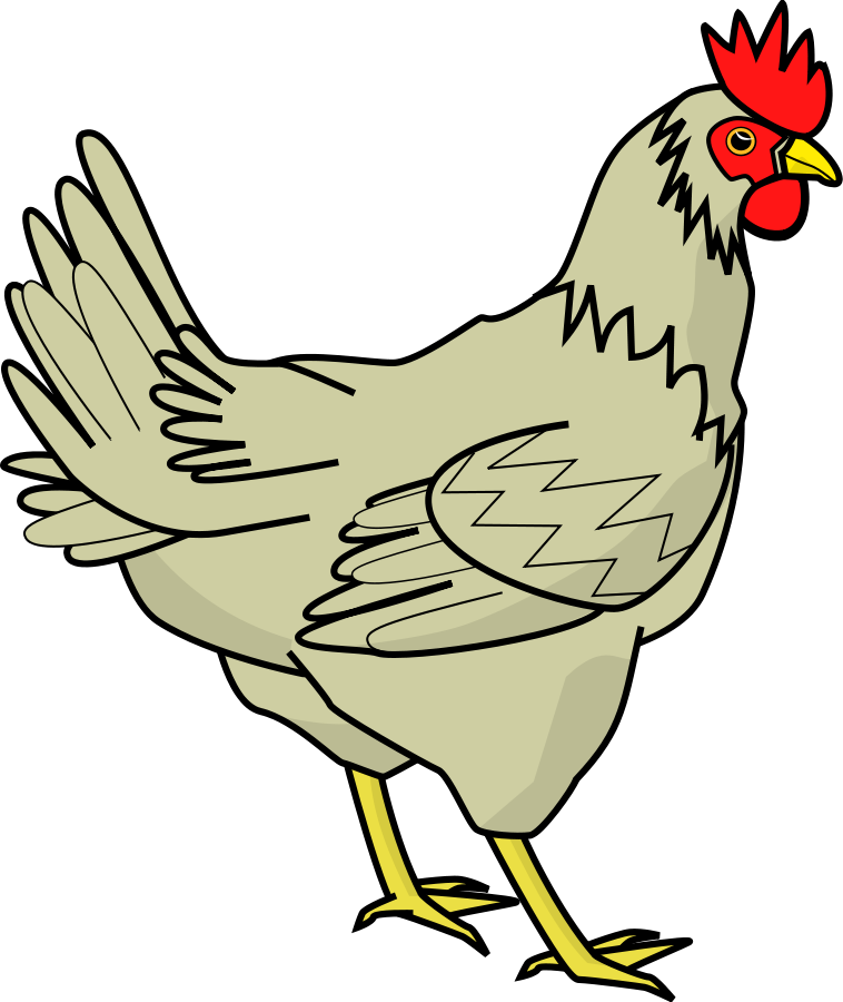 Vector Of Chicken - ClipArt Best