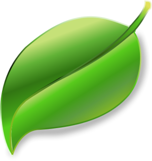 LeafPad Leaf - vector Clip Art