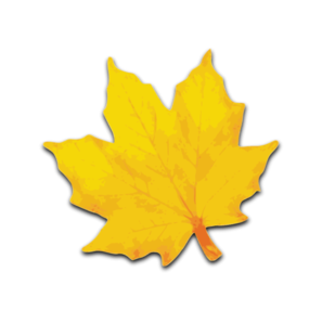 Maple leaf clip art free