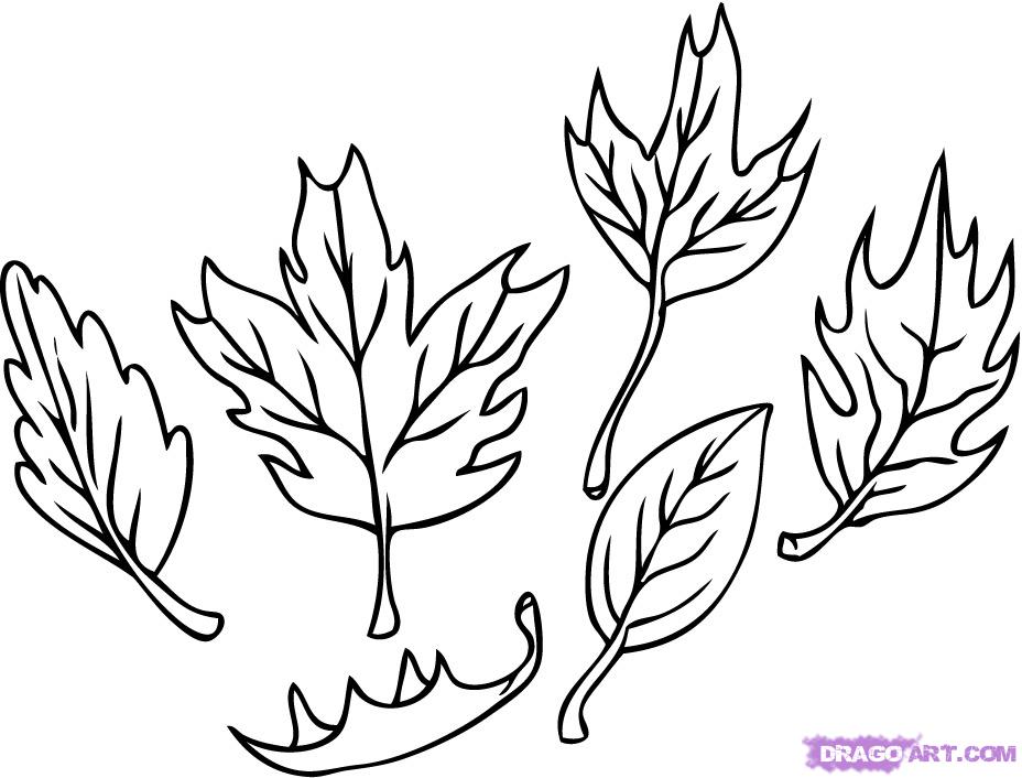 How to Draw Leaves, Step by Step, Trees, Pop Culture, FREE Online ...