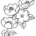 cherry blossom coloring pages | Free Coloring Pages to Print