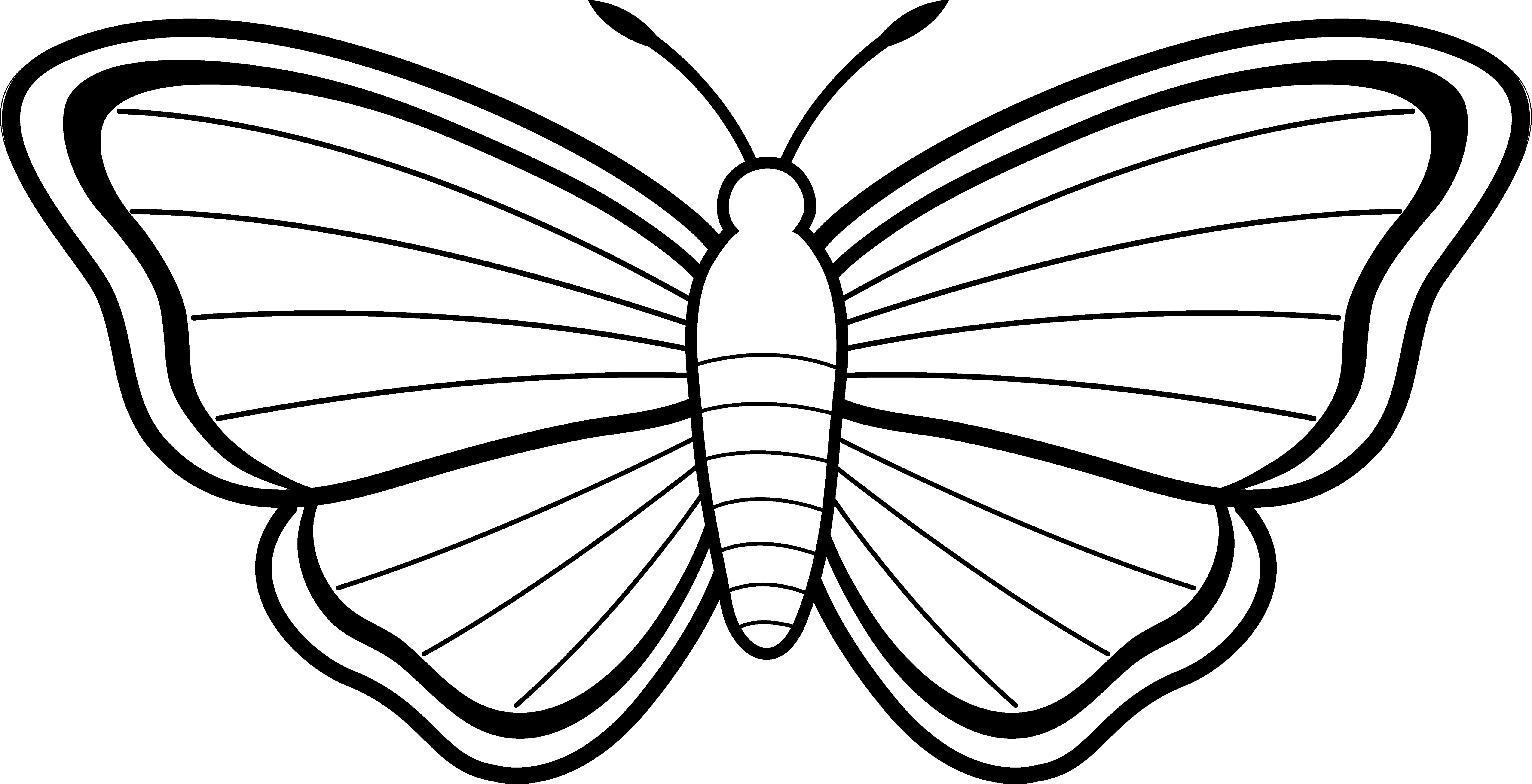 Black and white clipart butterfly