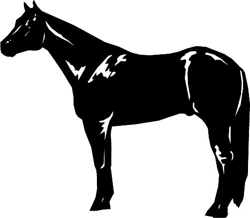 Paint horse head black and white clipart