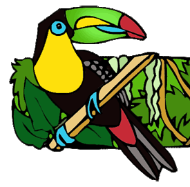 Clip Art Rainforest Birds Clipart