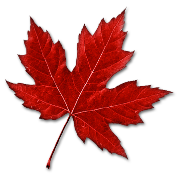 Red Canada Leaf Logo - ClipArt Best