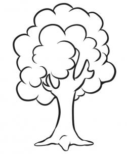 Line Drawing Of Tree - ClipArt Best