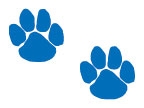 Glittering Paw Prints Temporary Tattoos at Great Prices.