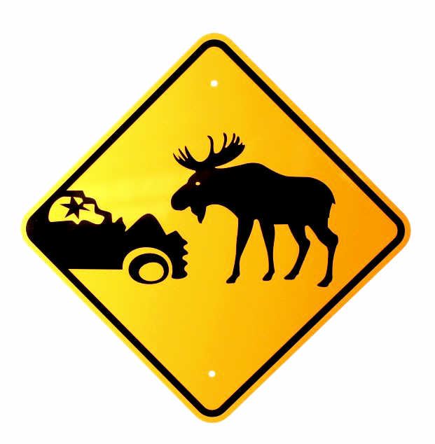 Montana Buffalo and Moose Road Signs
