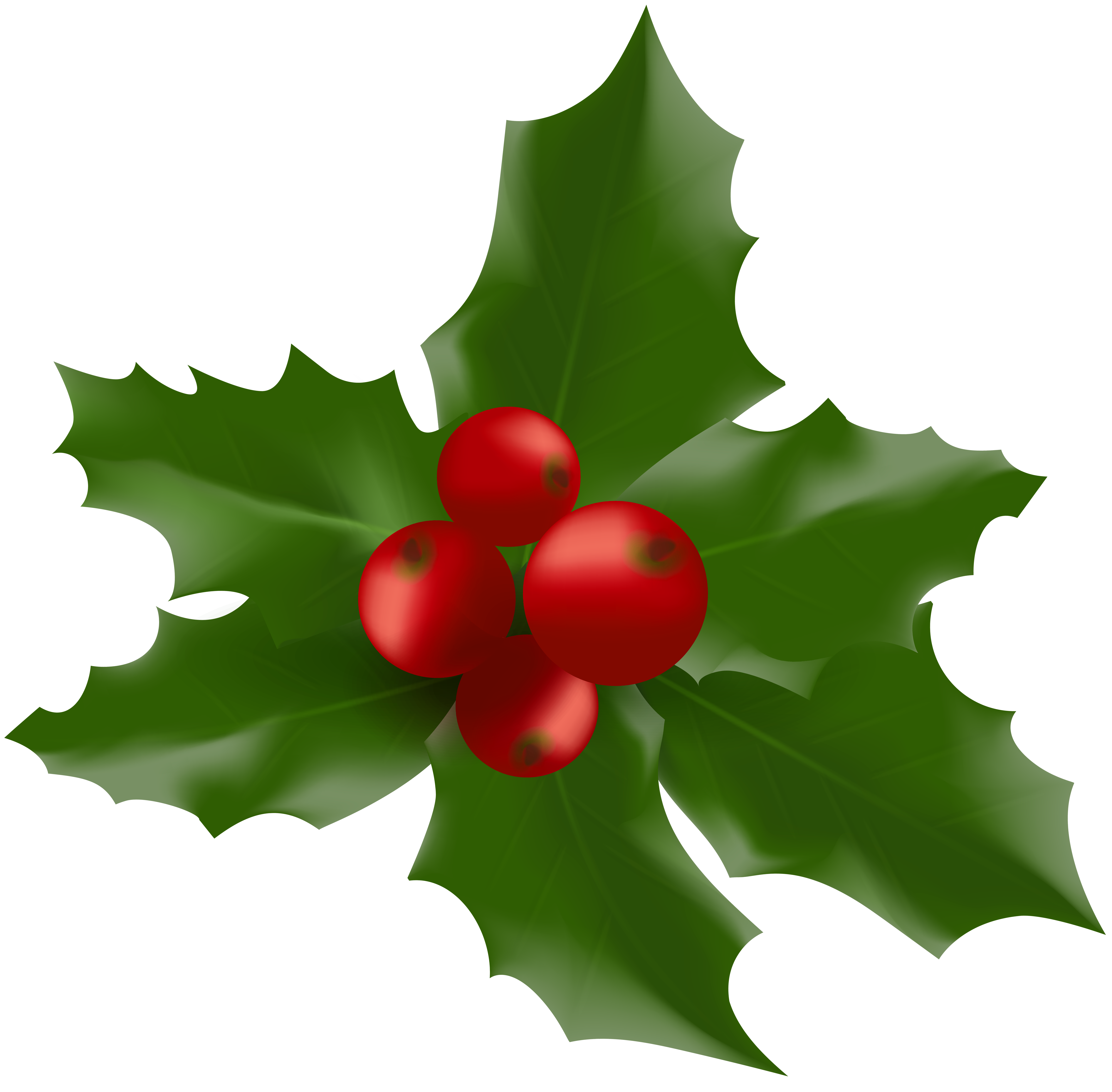 Christmas Mistletoe Large PNG Clipart Image