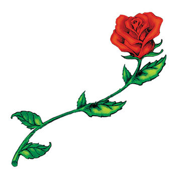 Tattoo Sales: Medium Red Rose With Stem from tattoosales.com