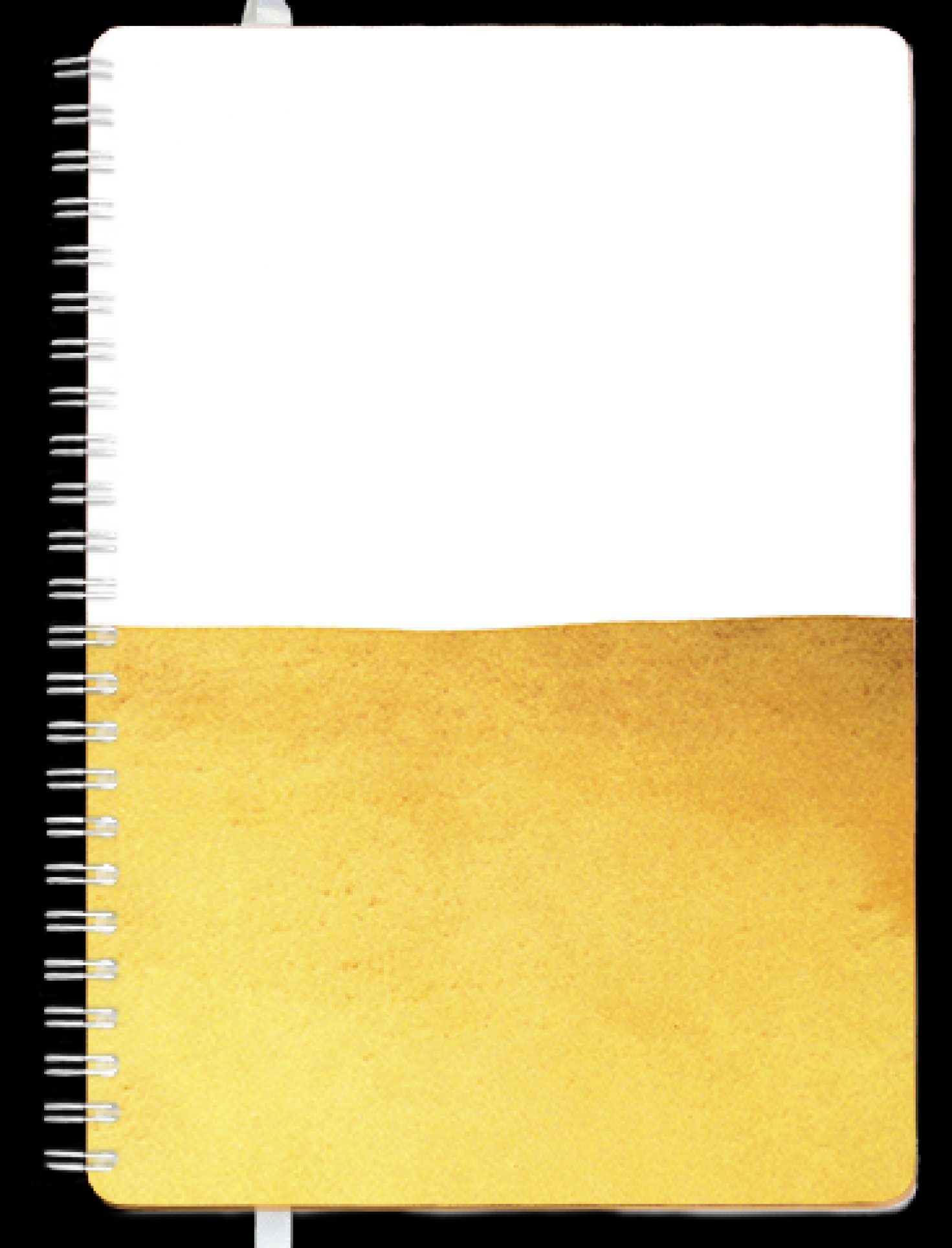 487 views A4 Size Daily Diary/ Planner With Oscillate Gold Cover