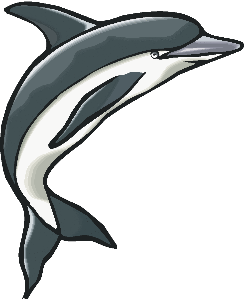Dolphin Black And White Clipart