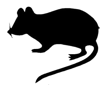 Silhouette Rats - ClipArt Best