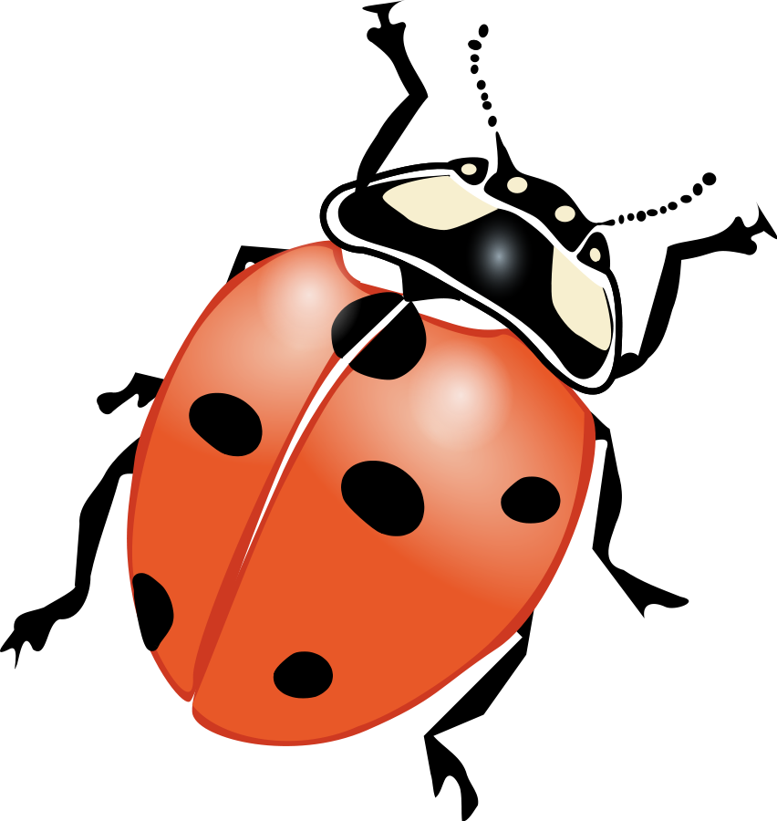 Bugs clipart png