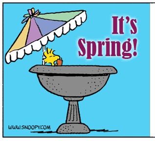 1000+ images about Snoopy Spring