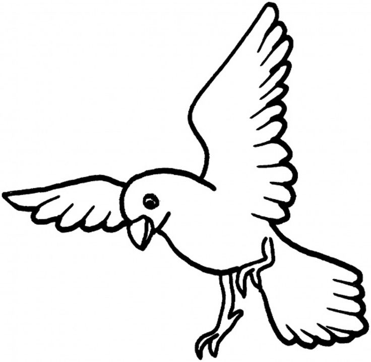 12 doves Colouring Pages (page 2) | line drawings | Pinterest ...