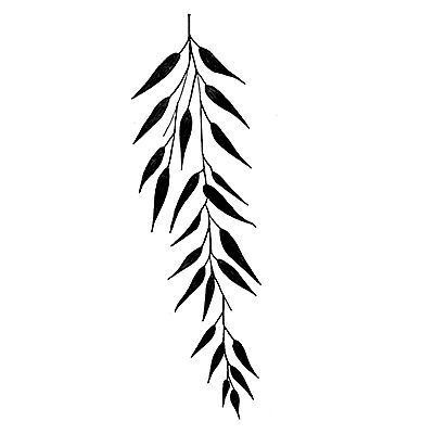 Silhouette Willow Tattoo Designs - ClipArt Best