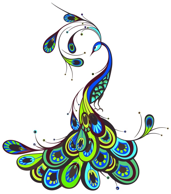 Peacock vector for free download