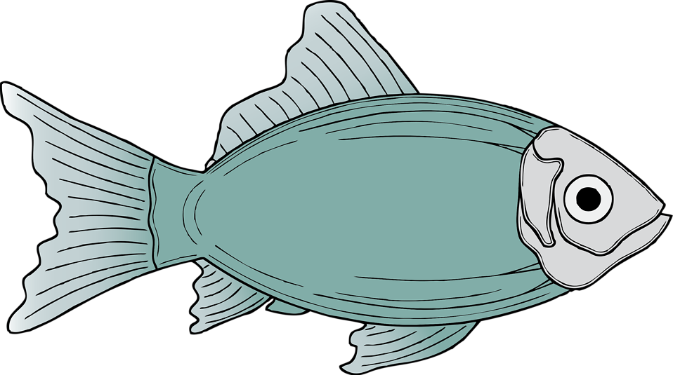clipart catfish - photo #46
