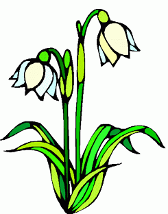 May Flowers Clipart