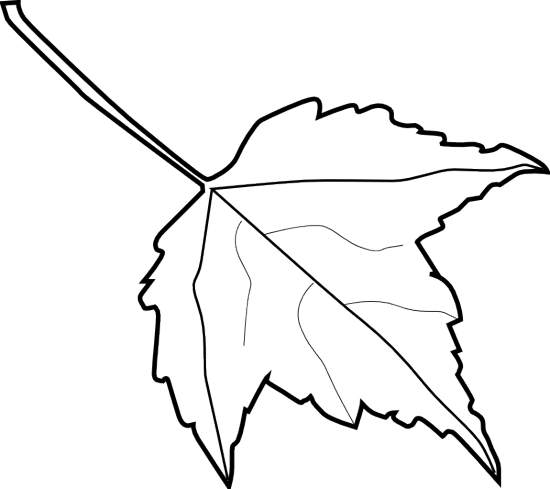 leaf line clip art - photo #27
