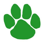 Tattoo Sales: Green Paw Temporary Tattoo - Buy Direct From The Source