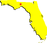 Florida State Information - Symbols, Capital, Constitution, Flags ...