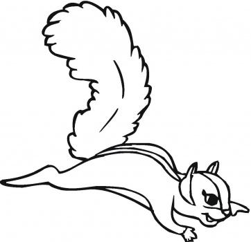 Flying Squirrel coloring page | Super Coloring
