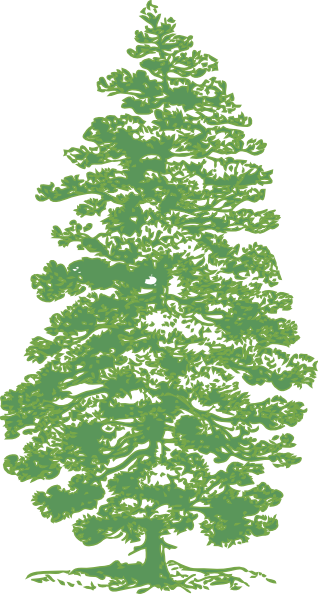Green Pine Tree clip art - vector clip art online, royalty free ...