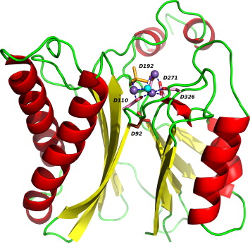 Identification and modelling of a PPM protein phosphatase fold in ...