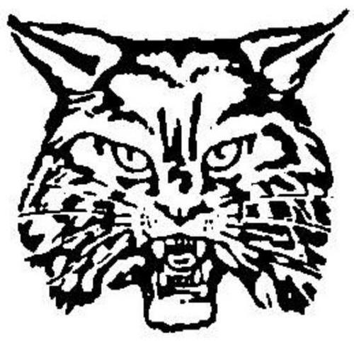 Newark Wildcats (NewarkWildcats) on Twitter