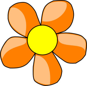 Orange daisy clipart