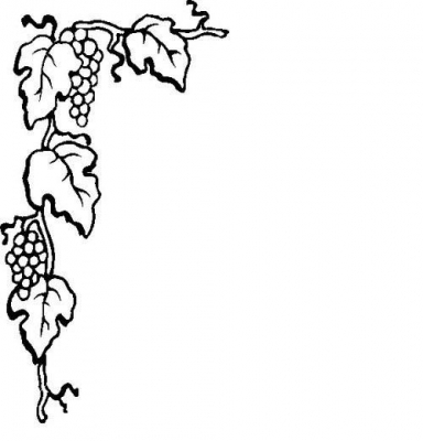 Grape vine clipart border