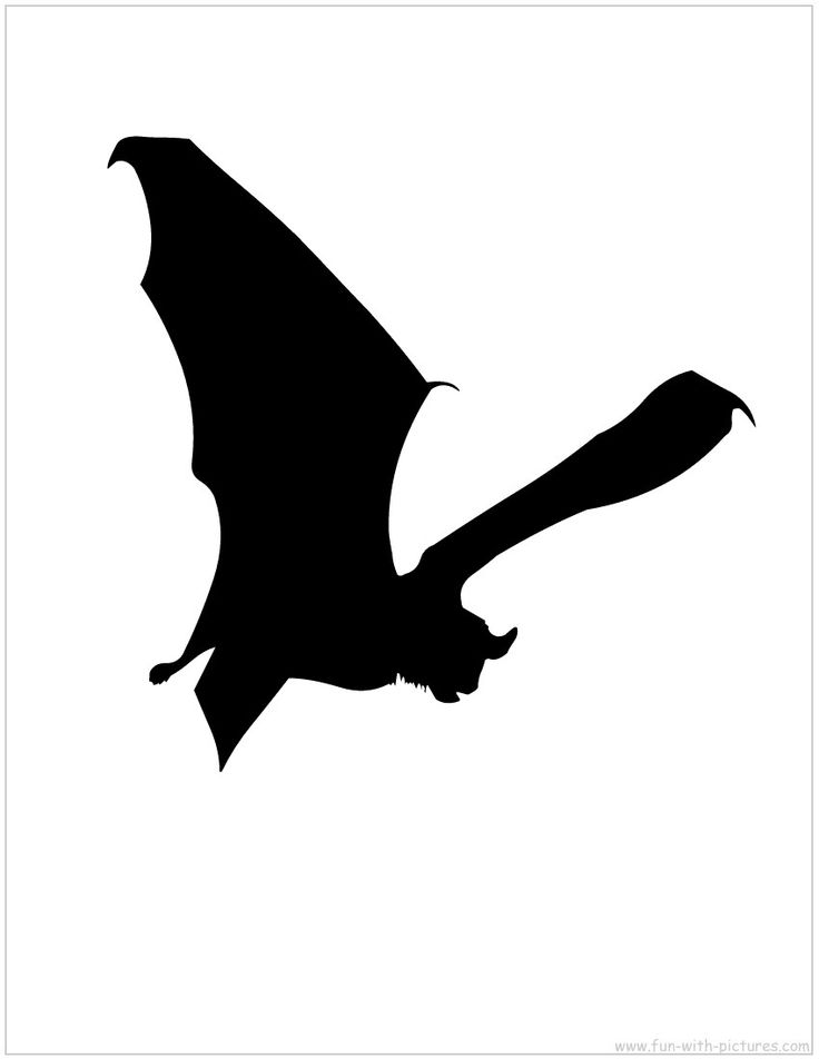 Bat Silhouette | Halloween ...