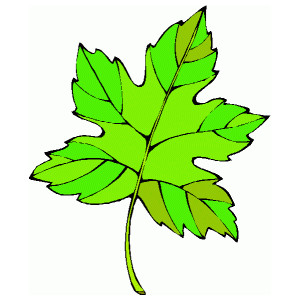 Animated Leaves - ClipArt Best