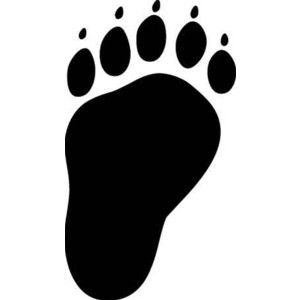 bear paw print logo stencils - Polyvore
