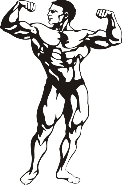 Body Builder clip art Free vector in Open office drawing svg ...