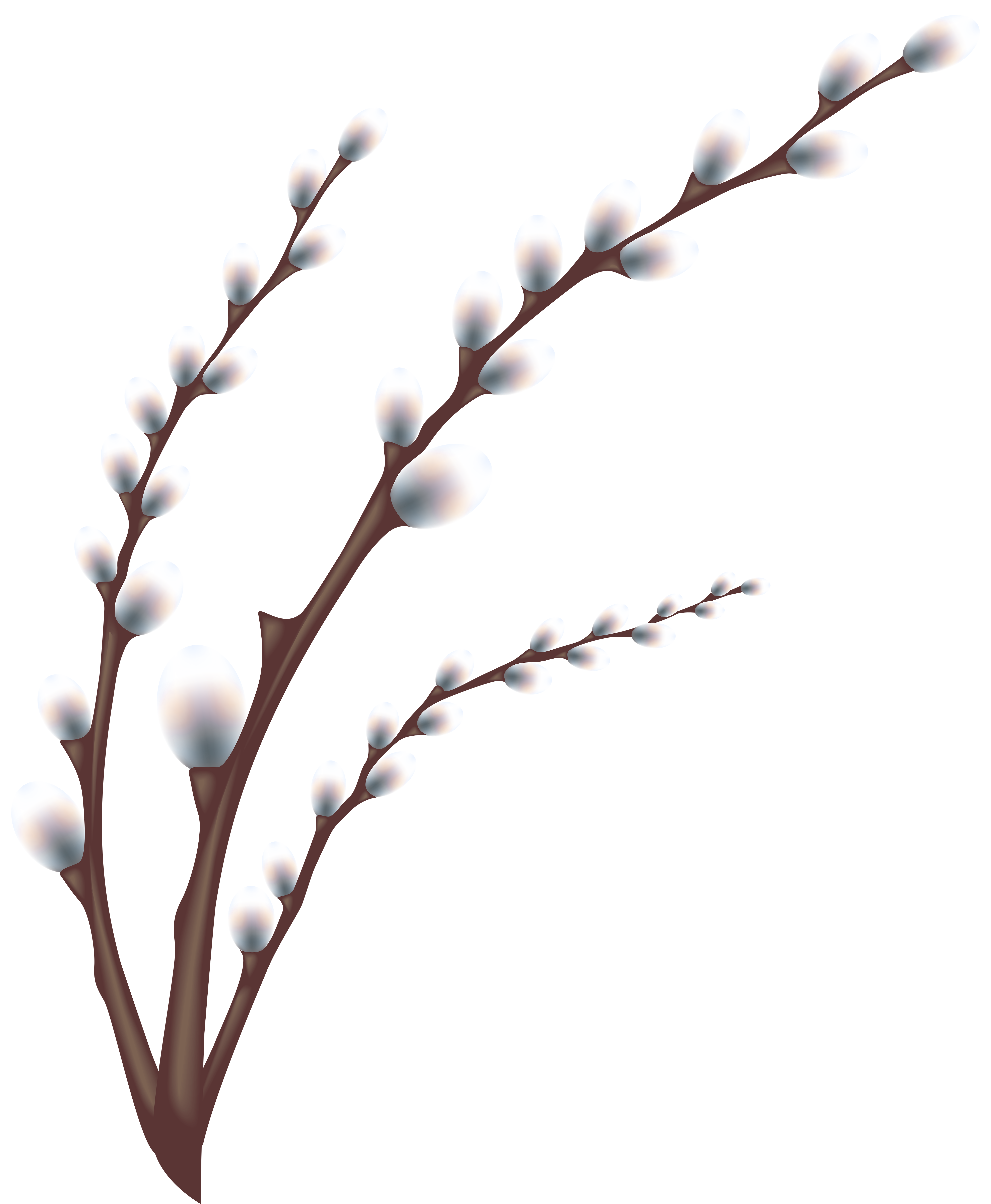 Easter Willow Tree Branch Transparent PNG Clip Art Image