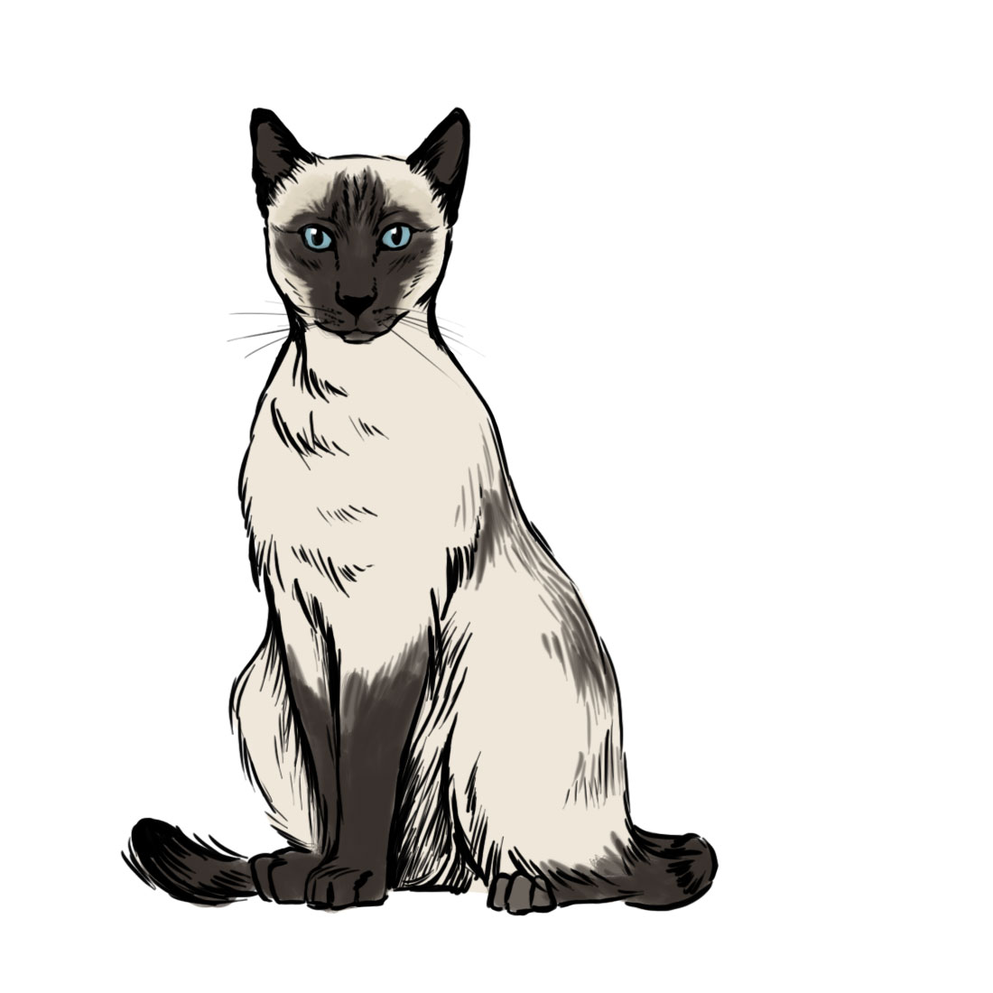 siamese cat clipart - photo #4