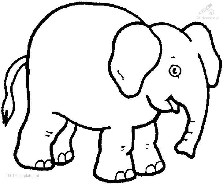Printable Coloring Pictures Of Elephants - High Quality Coloring Pages