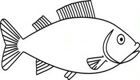 Fish Clipart Template